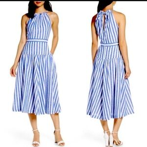 Eliza J Stripped Sleeveless Halter Fit and Flare Dress 14